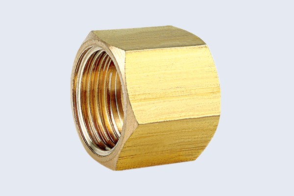 Raccords en manche en laiton hexagonaux N40111011X